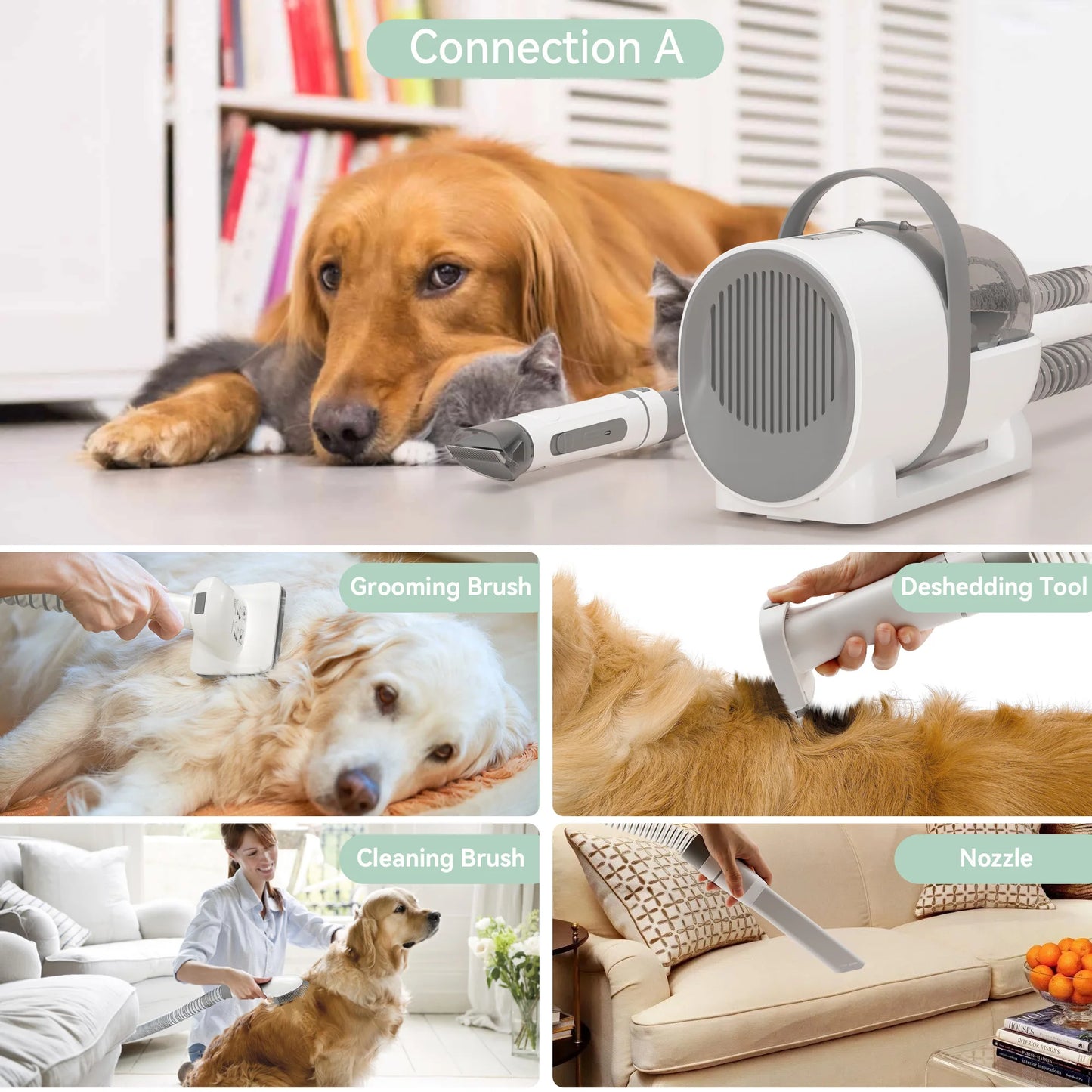 A651b75dadb794506a3e806b3dd3e6564l