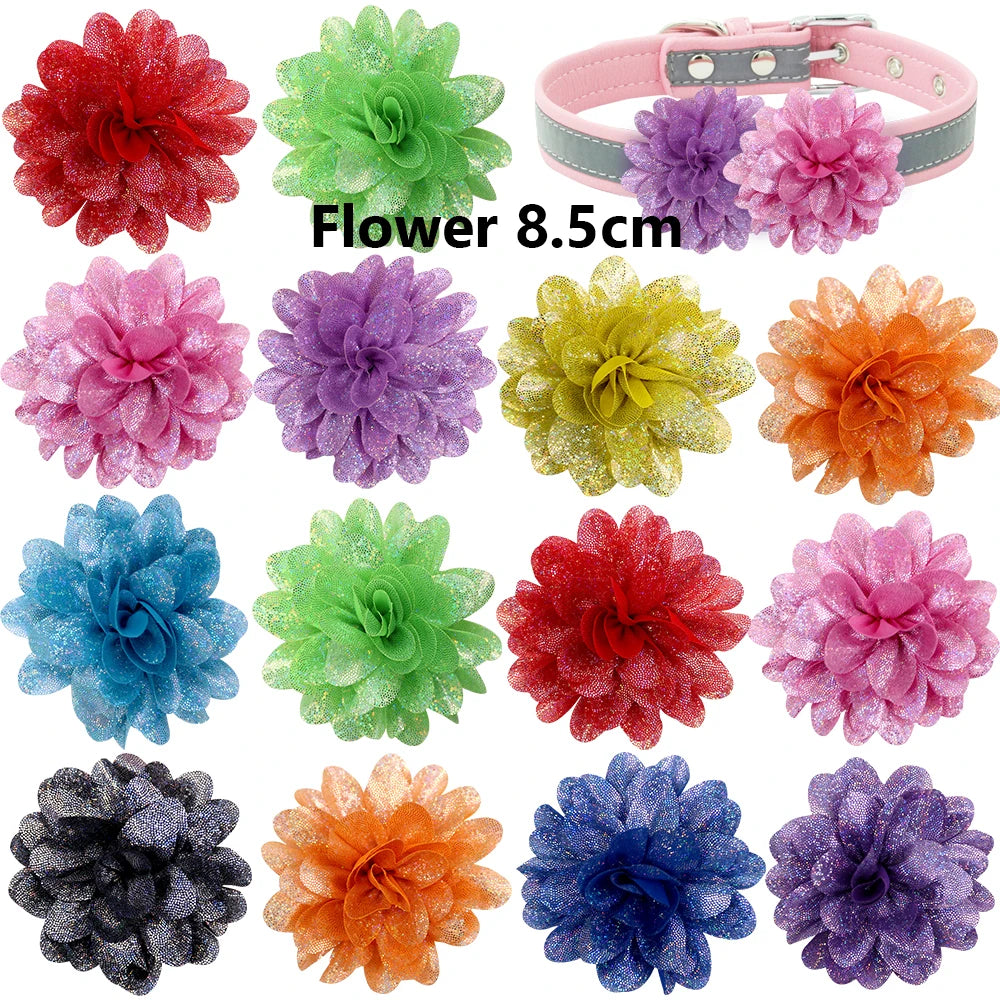 S66fcf6c11e854743900c1898558a5190L