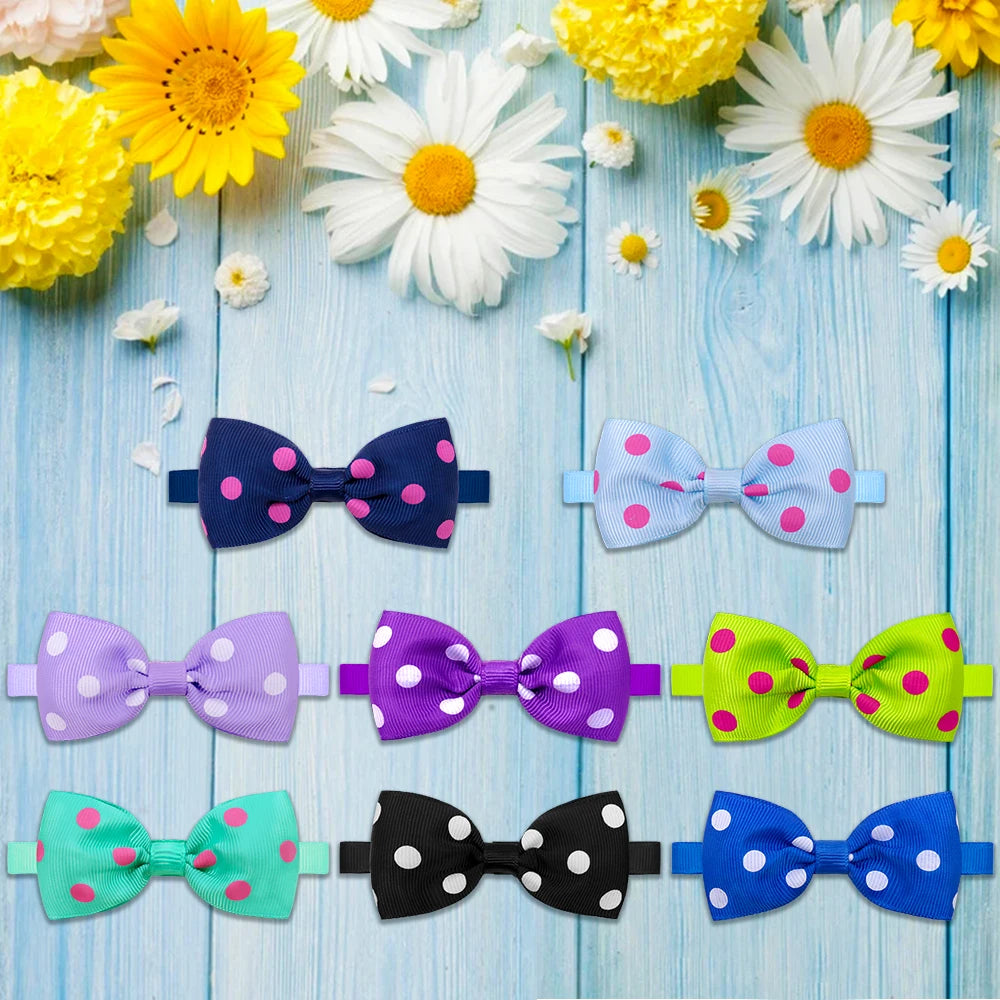 Sb9f9f91a44844137a080d2e99c278546q