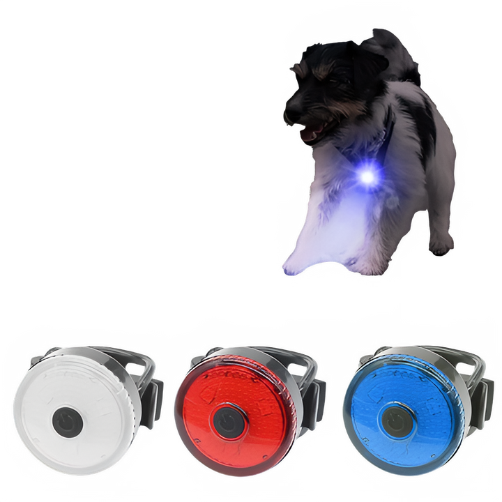 013443d3-4642-4b1d-86f4-5bbb15b85ea0