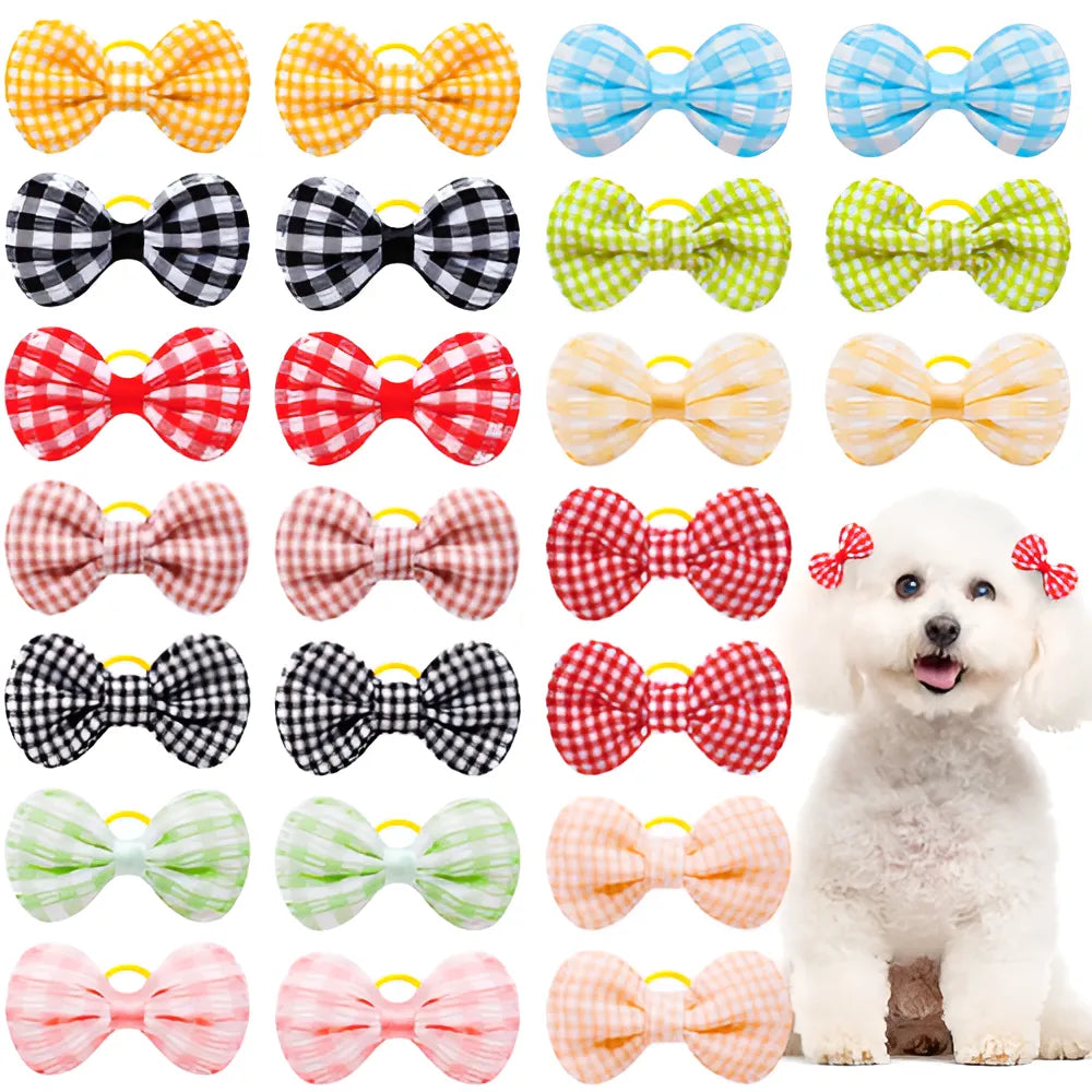 19b05ccd-1e73-4c75-8473-cf05ee37c99f