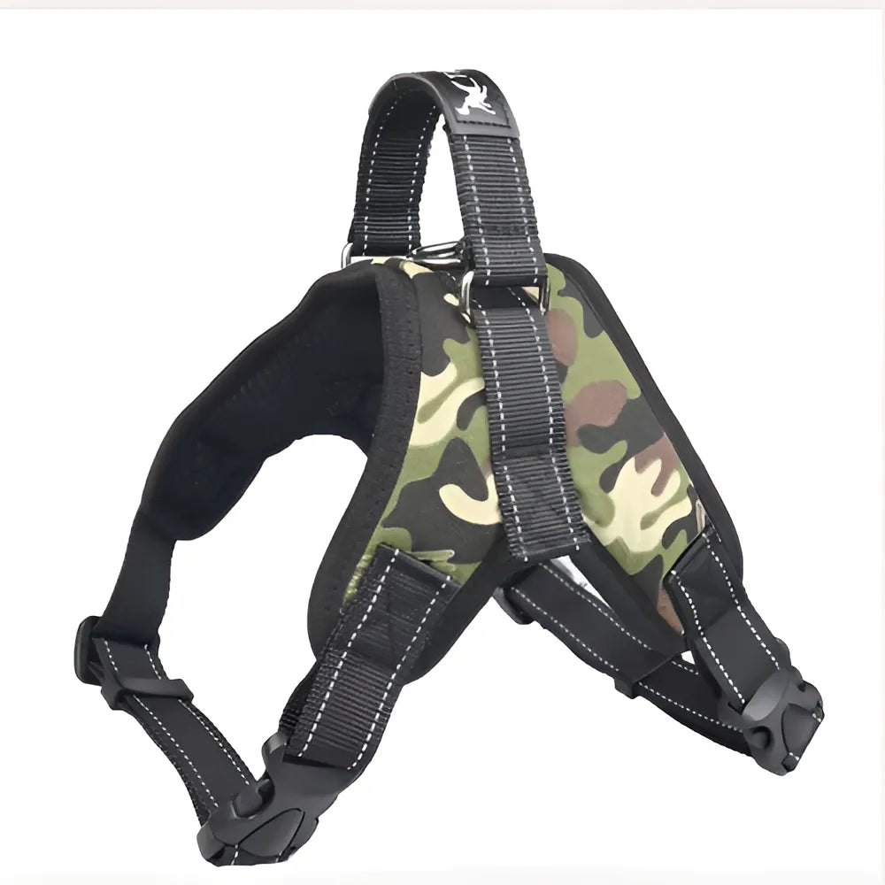 2ac725c7-239e-4db6-ae0b-3a46ad45d1cf