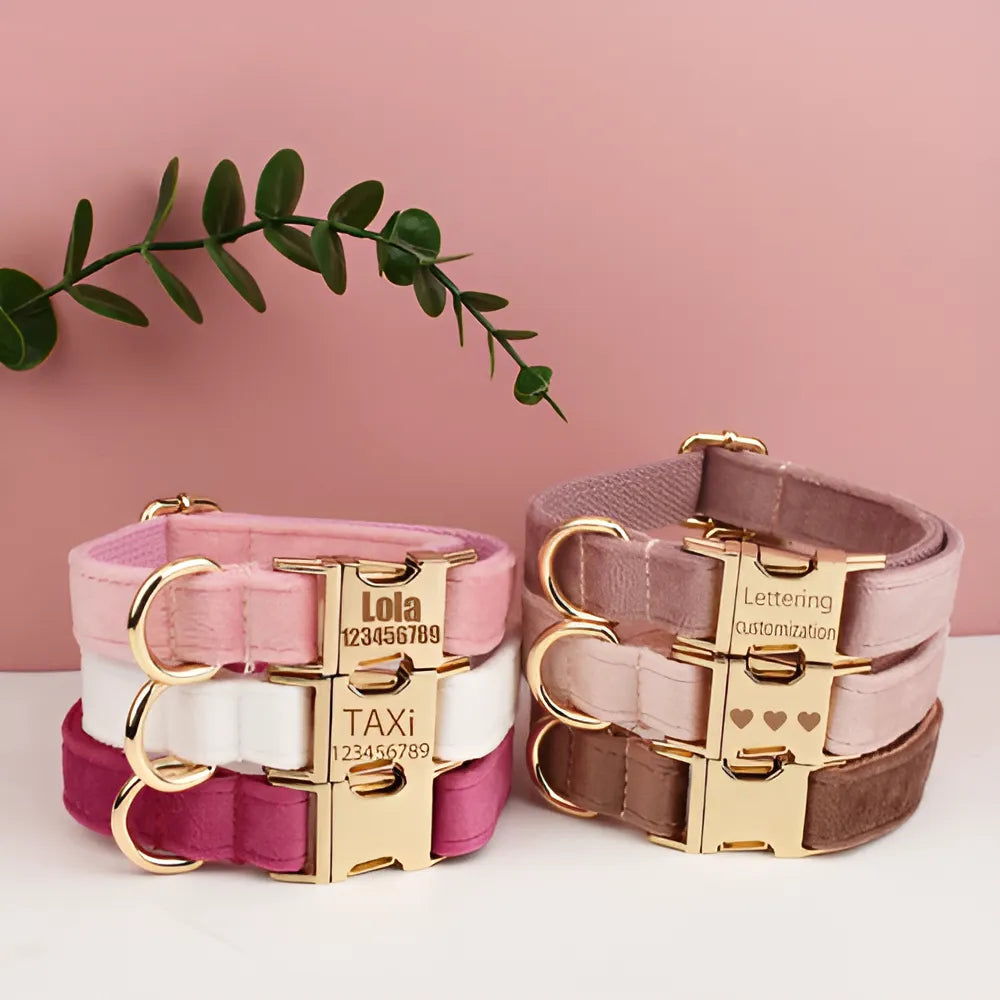 36106e38-4154-469a-8794-f037b9819e06