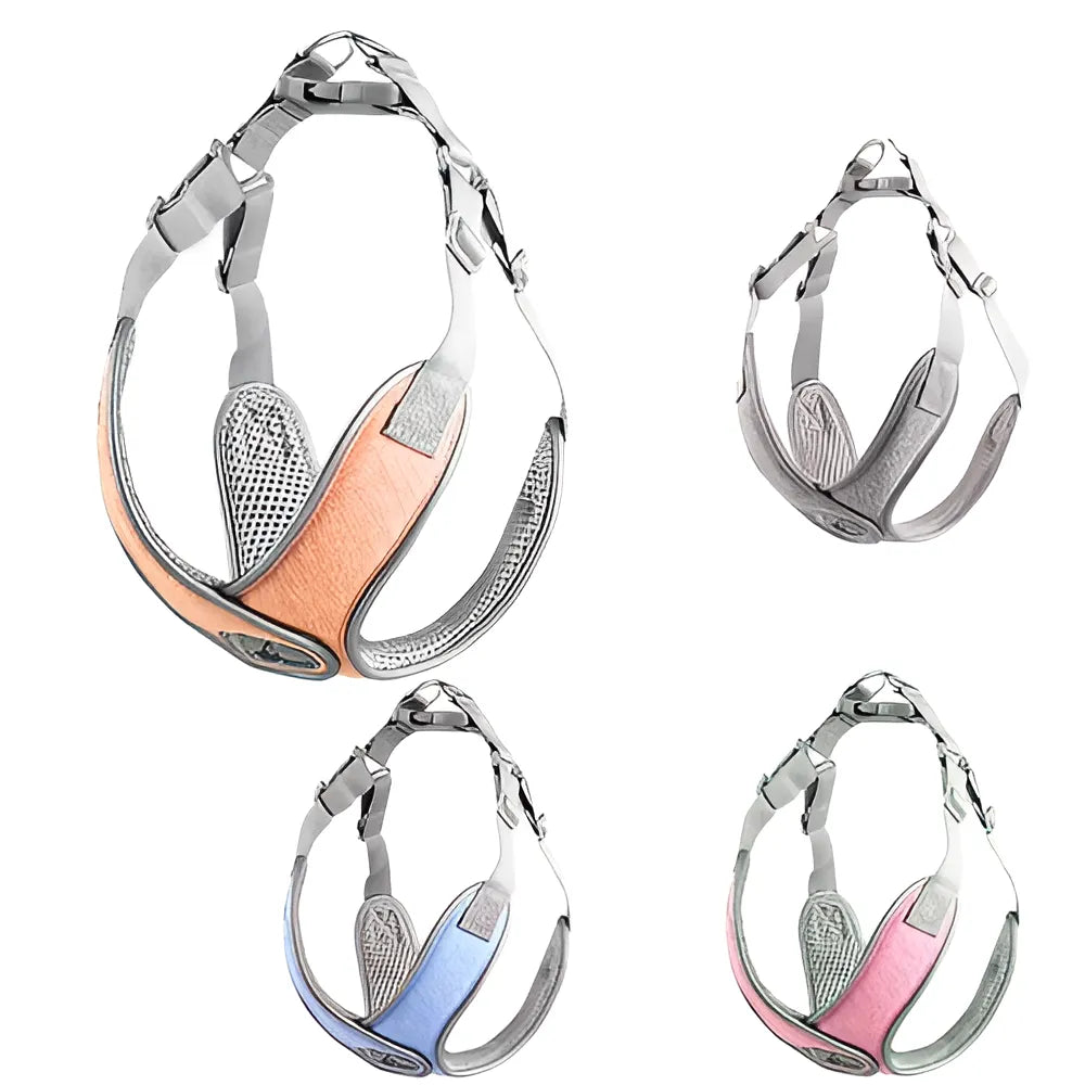 5bd50ba2-b5ff-41dc-b66b-e3887e6c8833