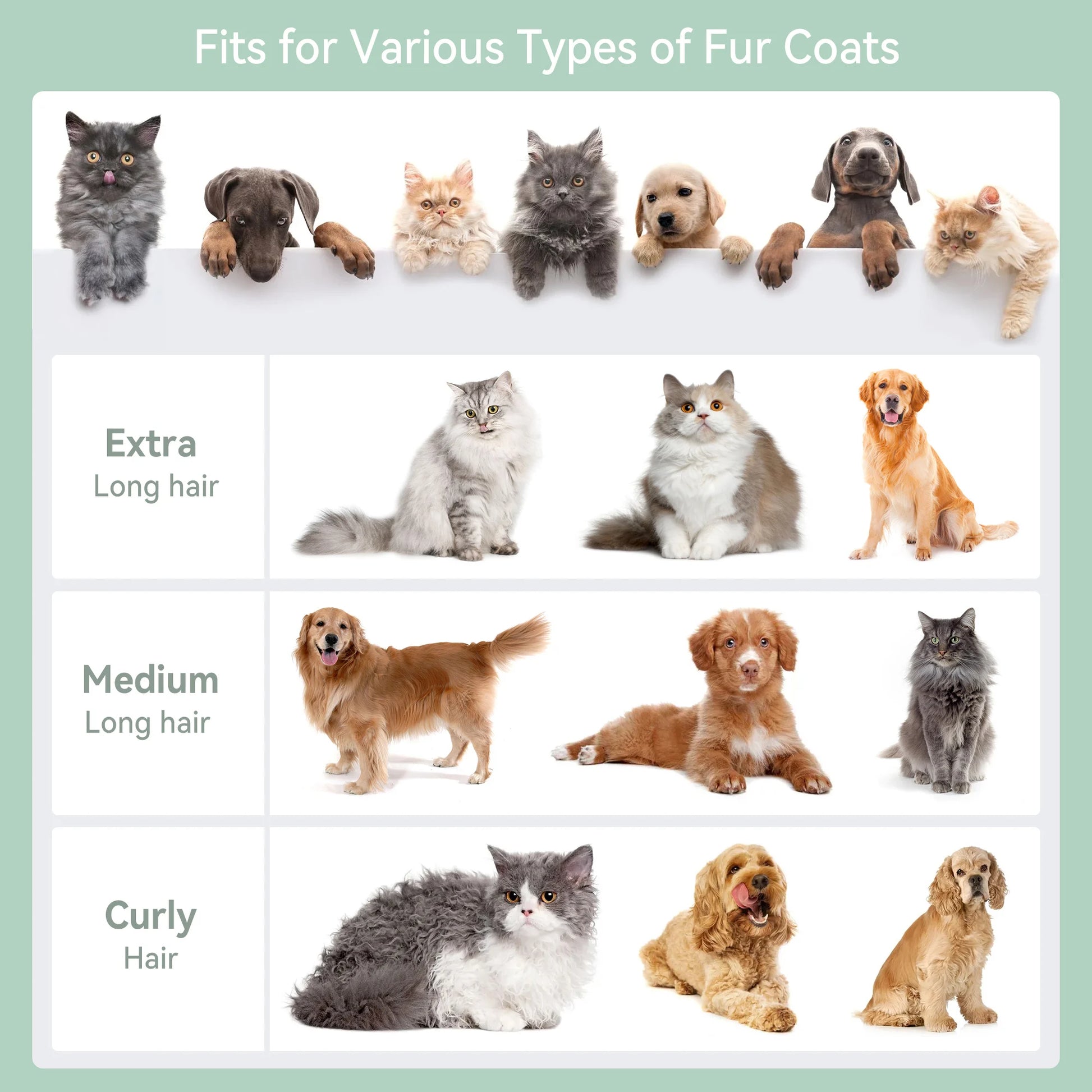 A1ae05e3a961f4b07b04f2d7db597c4a7K