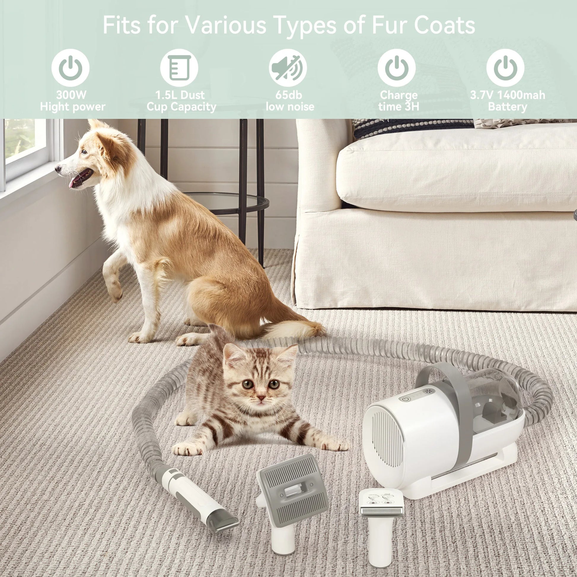 A1c85cc54c5684504b5c571c6331d9ac9n