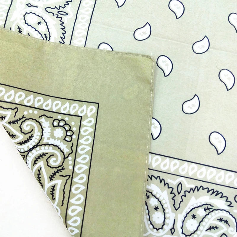 H220d631e3bb74be3a2e42ae81a737b651