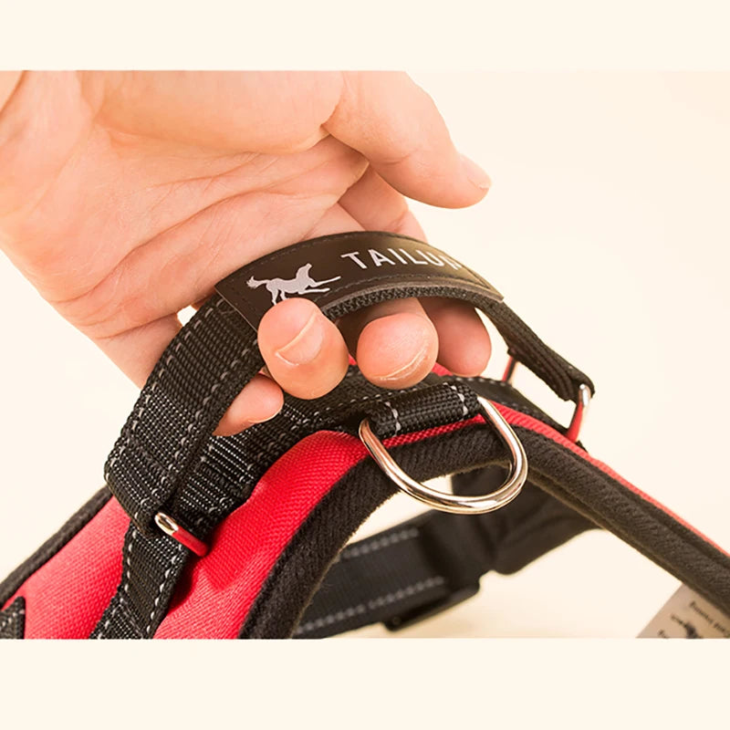 H45341c8a3eec49a283c6c9667ed269e6t