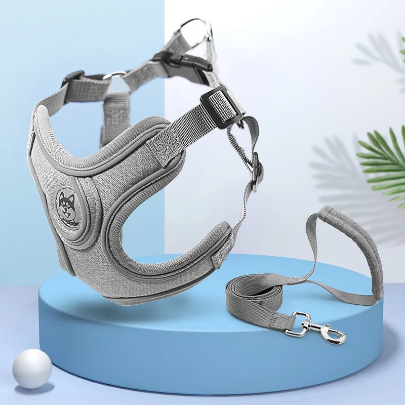 Hbbf4fe06a47946579b0af54104a59356t