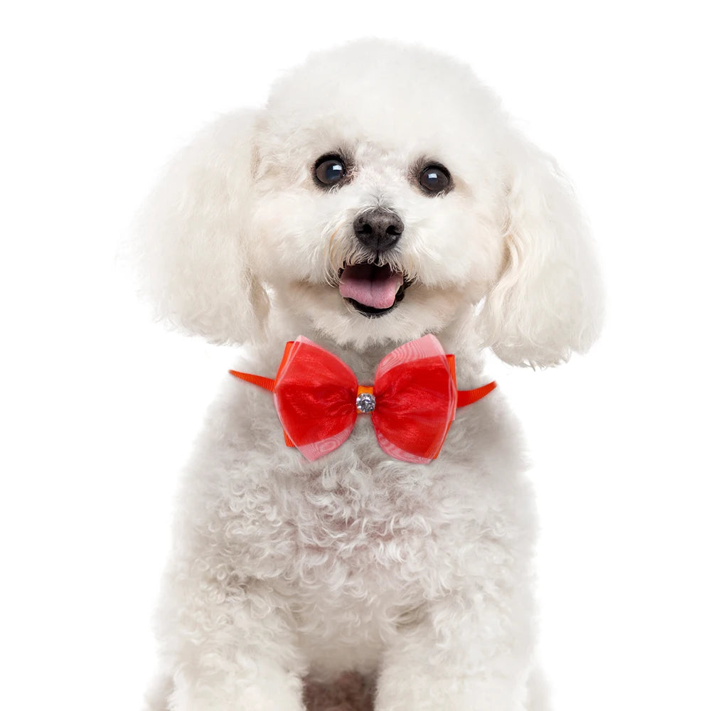 Hd2a91e35f1794c73ae8d71d76987840cT