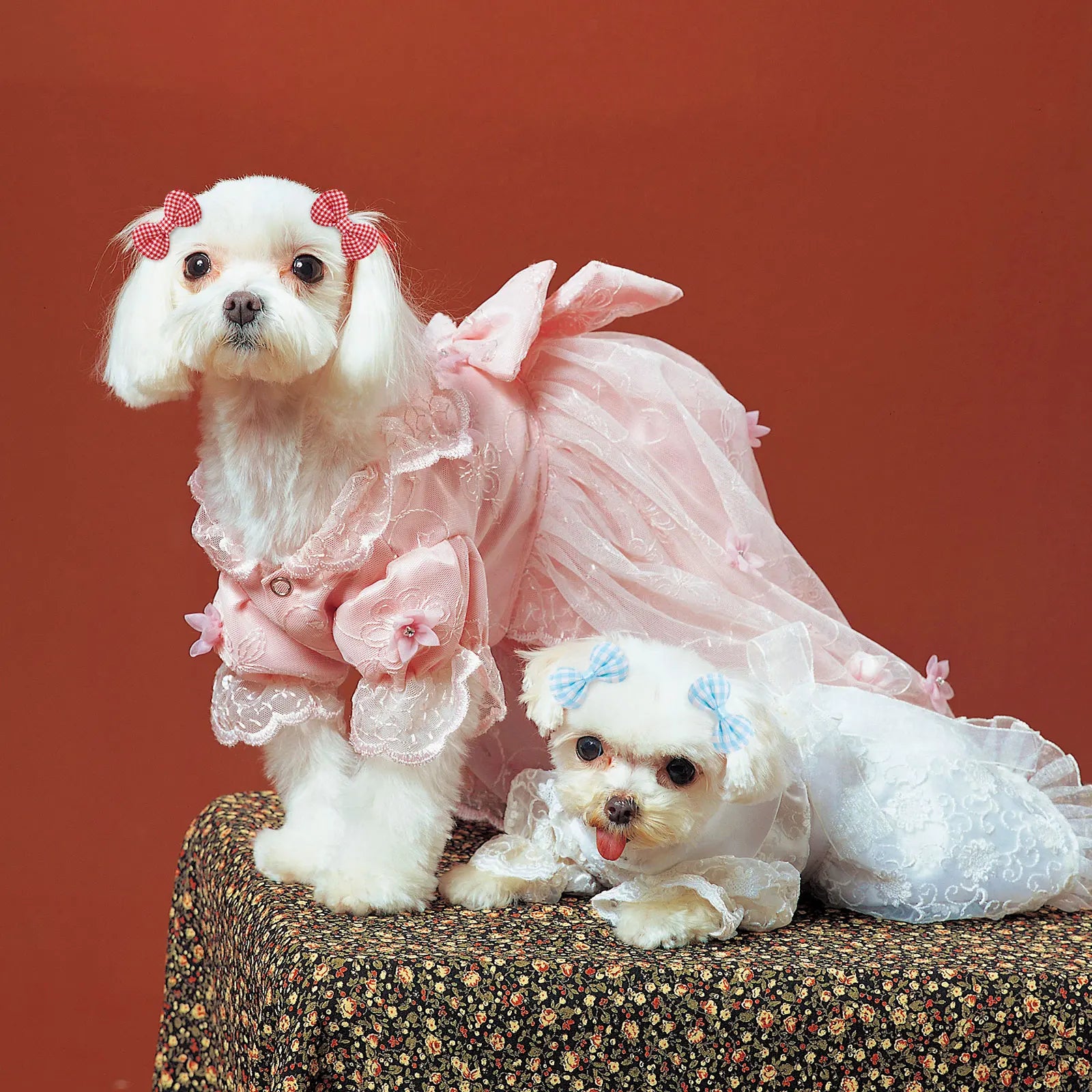 S1993f3c7f2ba4d50a594a2c8d6970e8cX