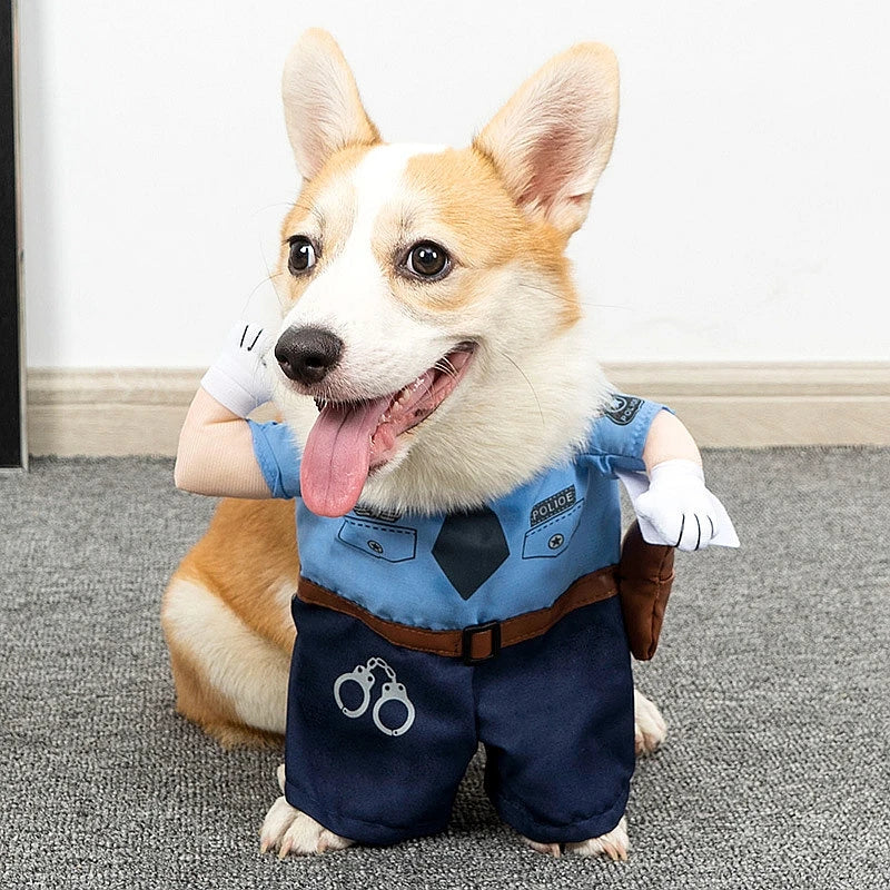 S1b7685da138040ec884a663f6f984b15j