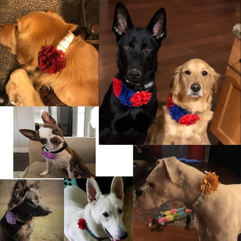 S1c6c3706aef145389945d4d81040e9e6h