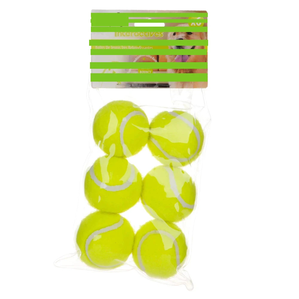 S241697f52d914c1f88b1c19ec963dbc0W