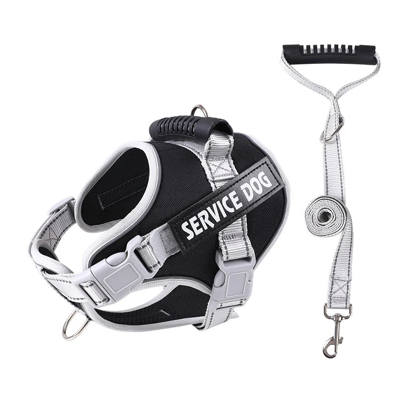 S2d53f44ff90d409cba375157de548713P