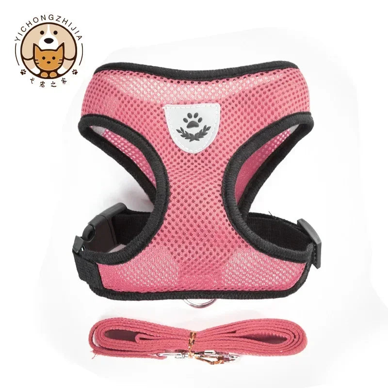 S2e7b3cea5c124cc6b62185c8bf89e7e9E