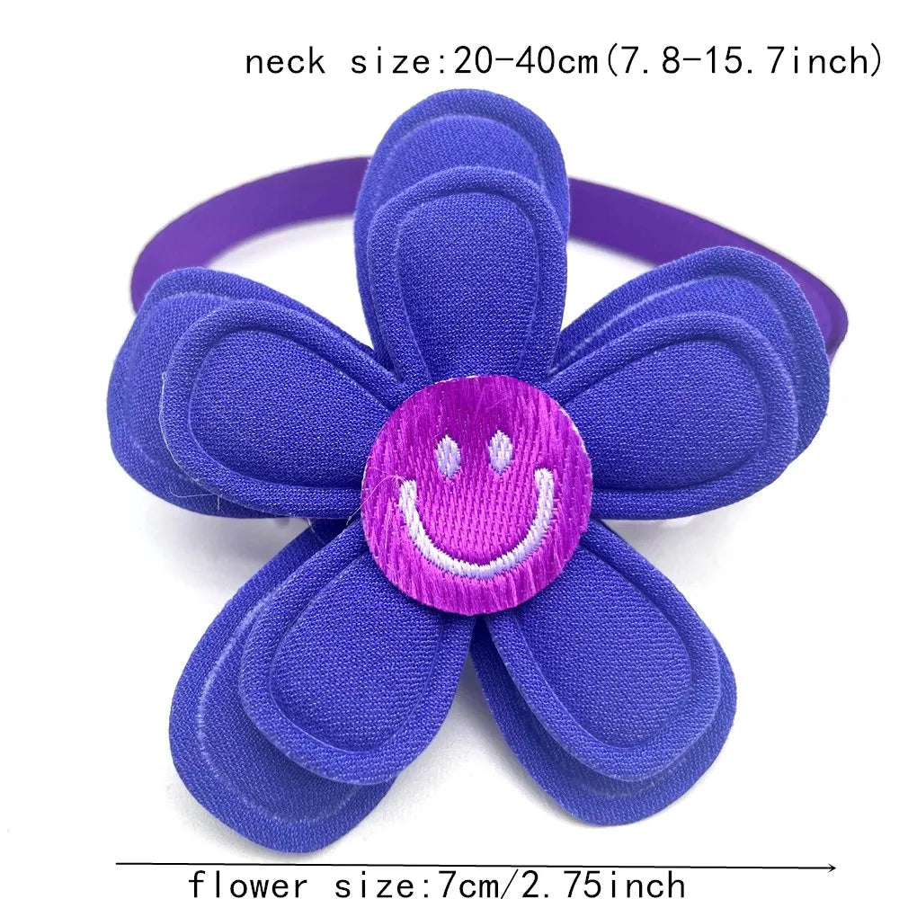 S326d5f8462f04fa69dc63e9b53039d633