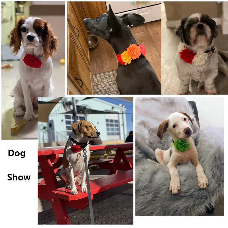 S3b1ab1493f2a437b964208be5c1b0d75d