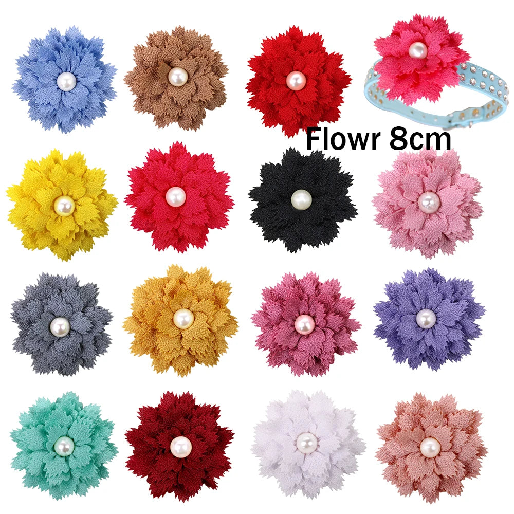 S3ee978e58e3f444c8a798c0708e6db02S