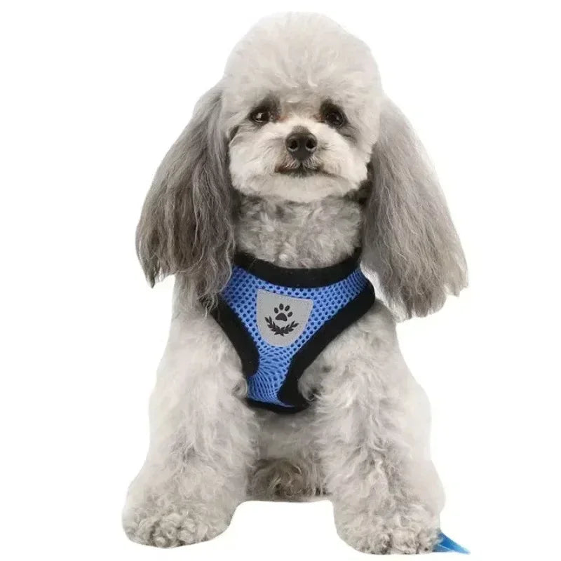 S4674d29be5f84b2599ba99e798ddc006D