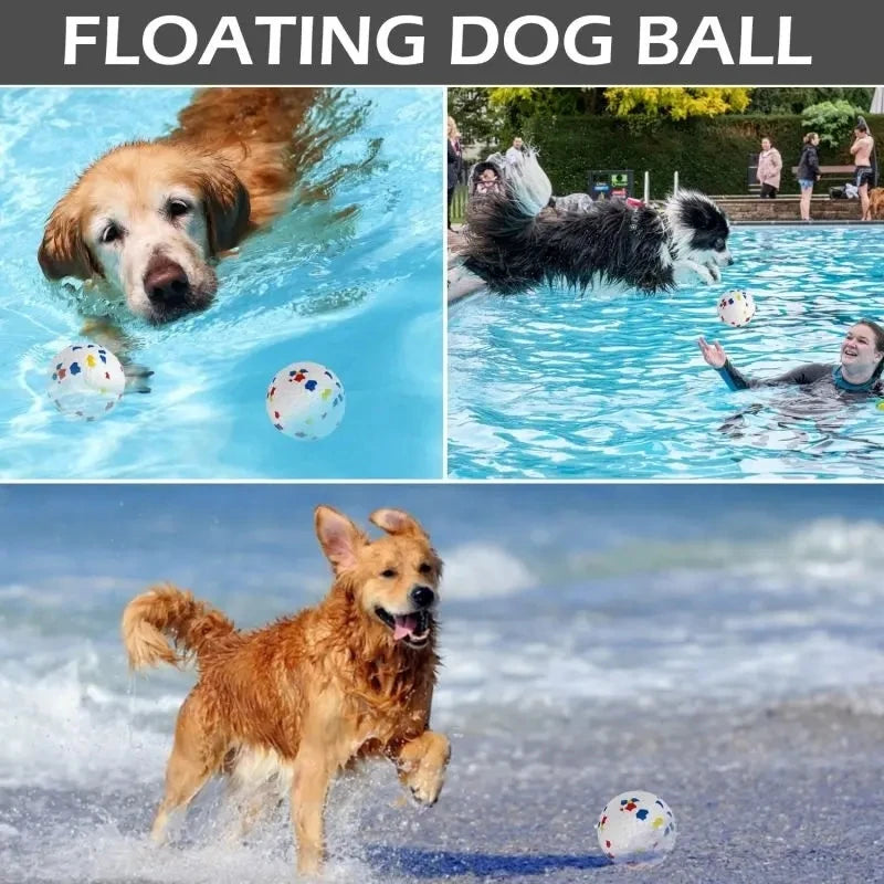 S479f5f16a5954f52beea76932122e3e8E