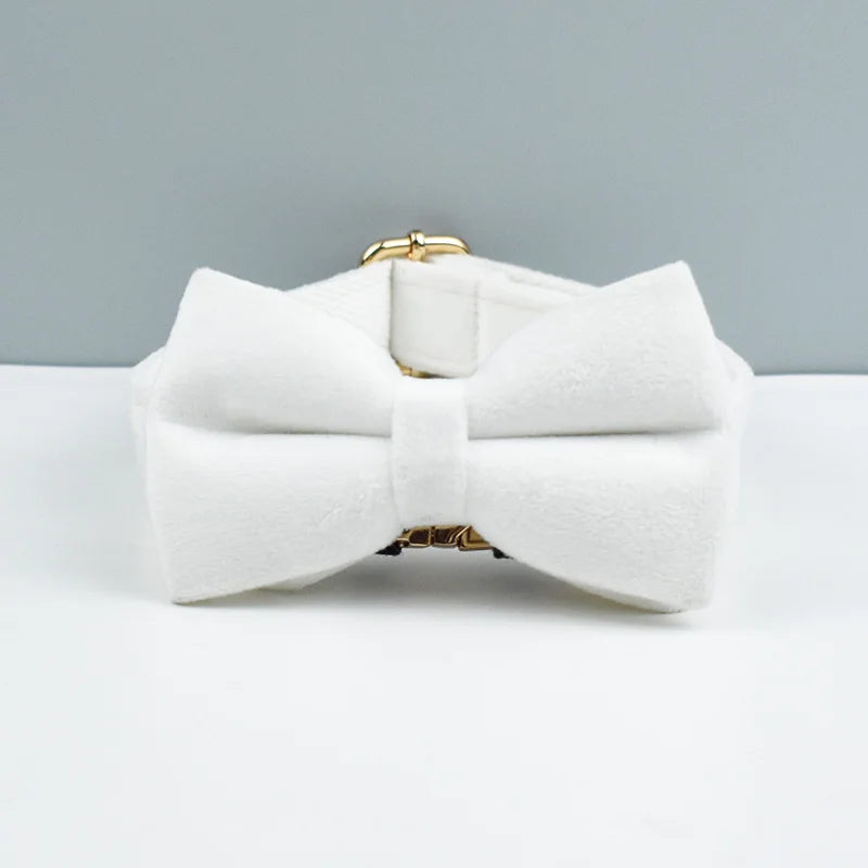 S4d6e5ef7595d4aab9b8217882bd5a750p