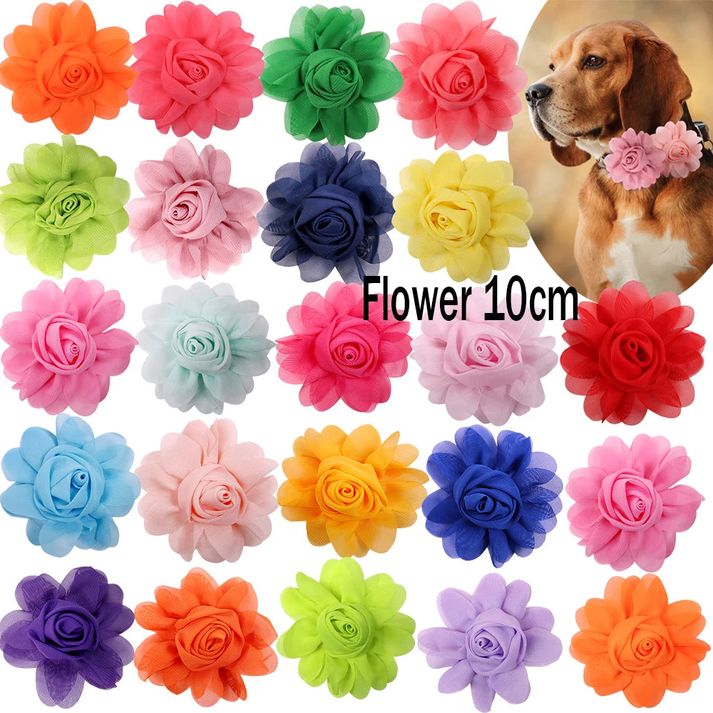 S5a050dd62bed4f8f834af864d771a142l