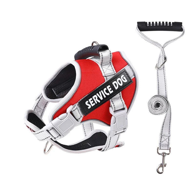 S6bb3e05f1f114d5aa5bb384438c7dd774