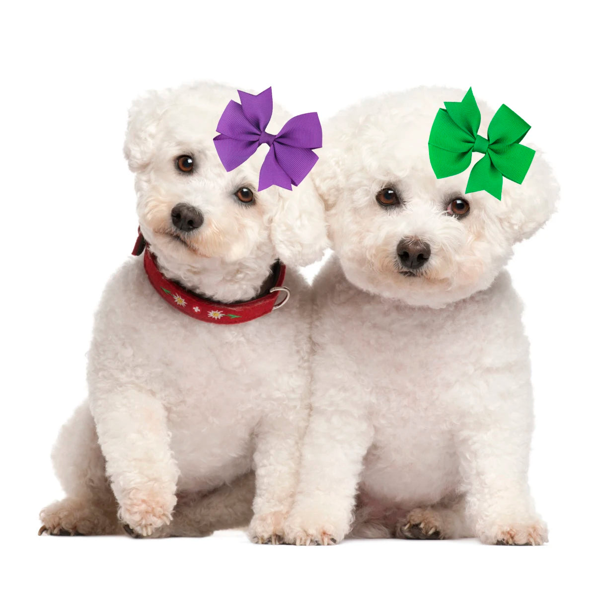 S70e383fe191e42029555eb66b305e8eb1