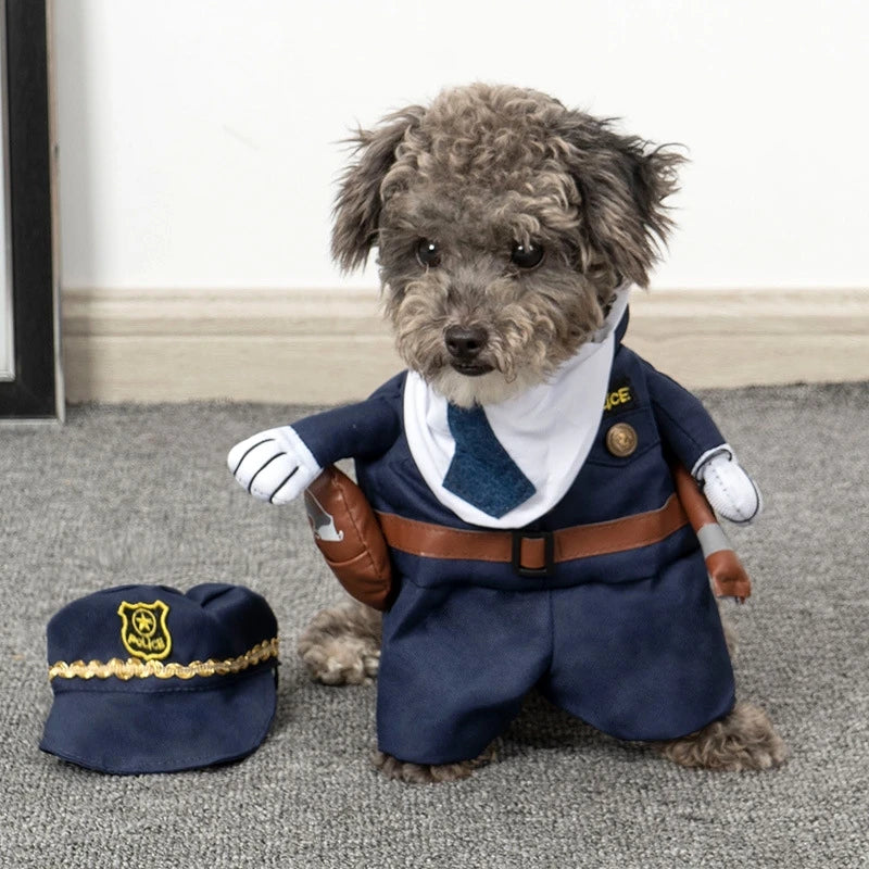 S8164e94c997a44fcb5fb7cffddb516bdL