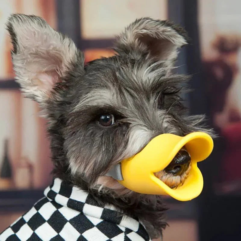 S84d99cda63b746dfa566dadb8cccda13c