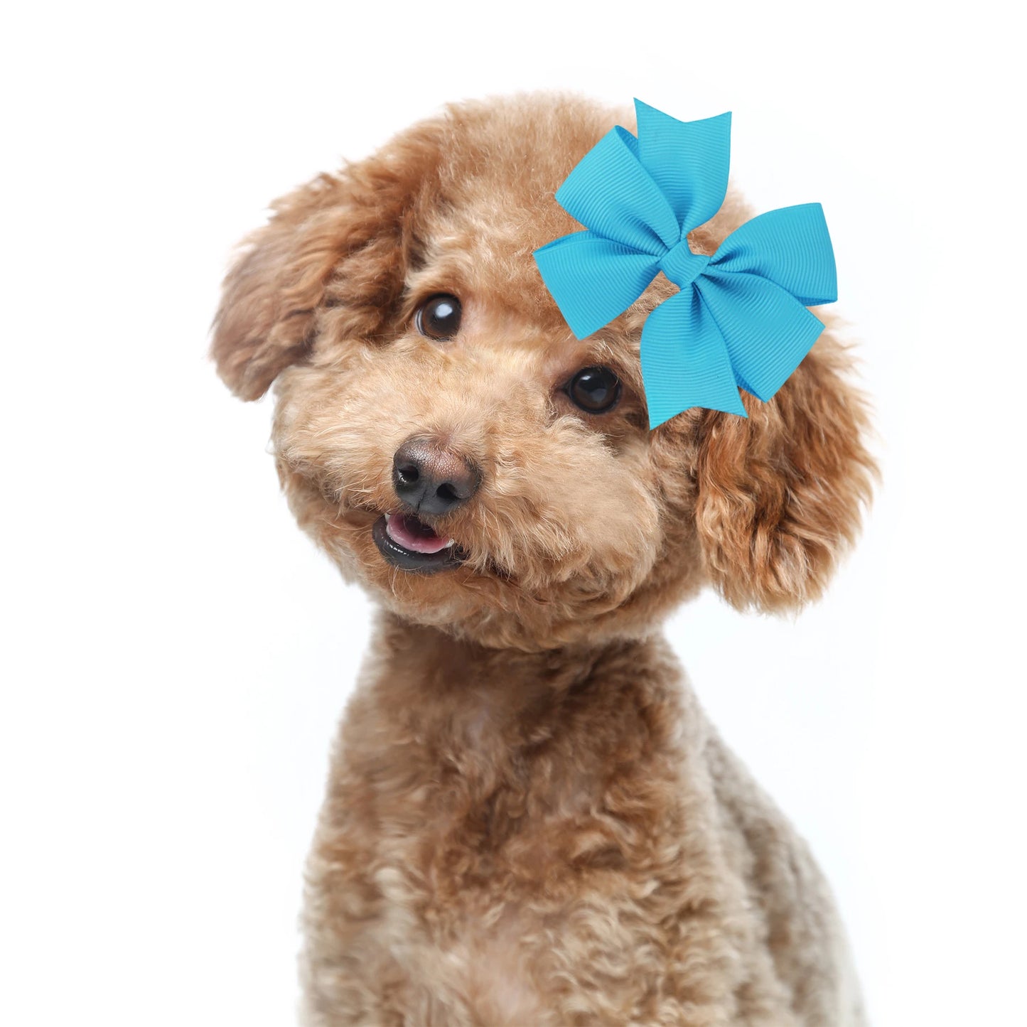 S8a49d26ed7ce42f599d071767bcd93b6L