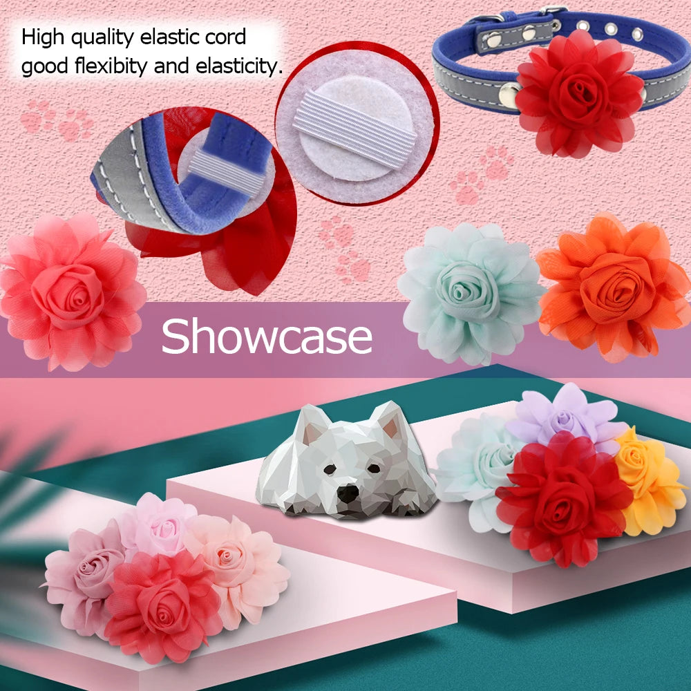 S8c26de0ae13e4714a3b2a43466a2a825I