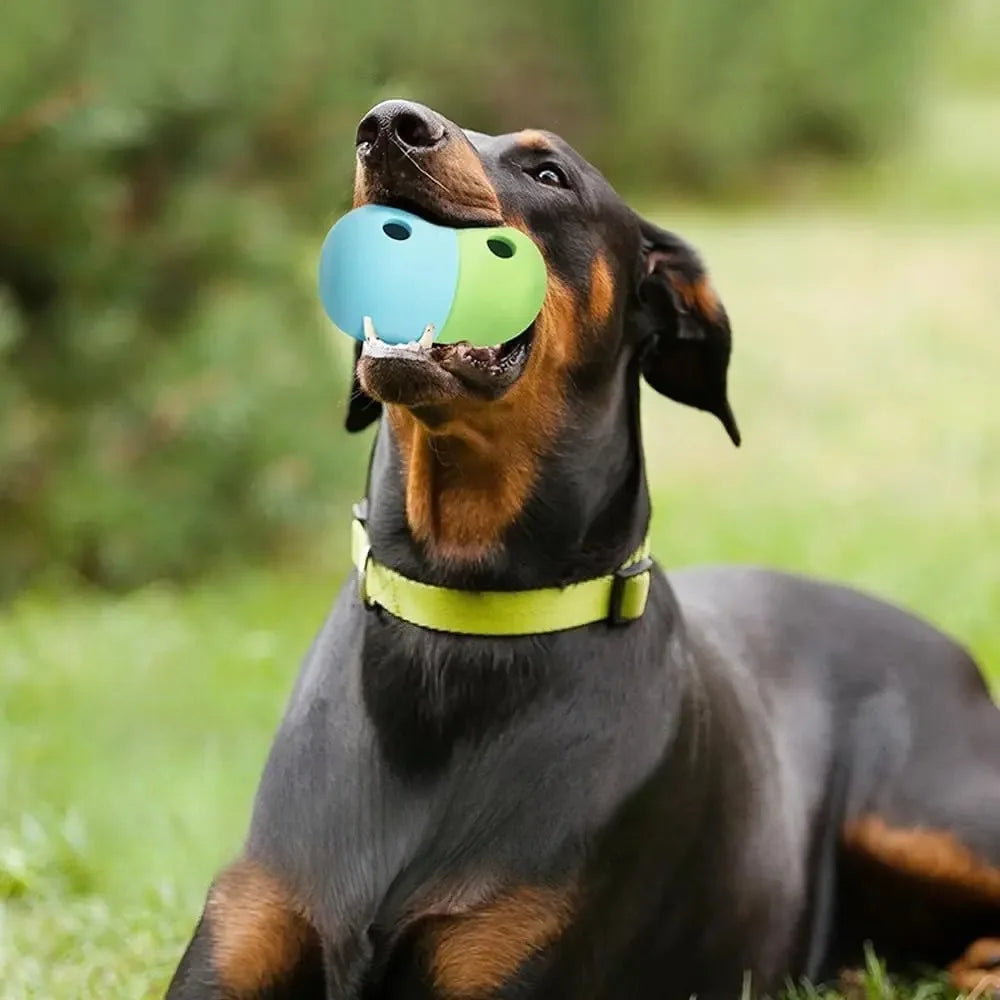 S8f4a48df53214c27b6e4912d67d1b62cr