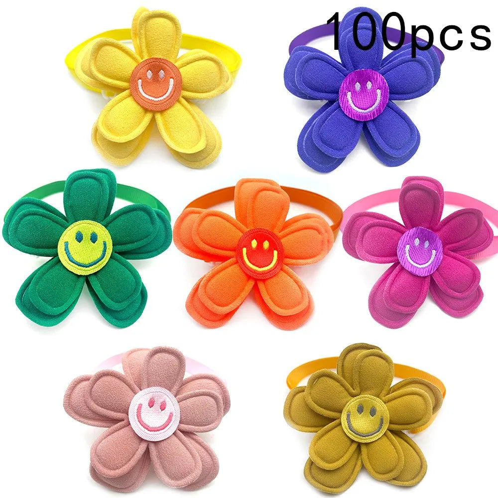 S9b441a8b1dd841d7b3754049d4fbe79eX