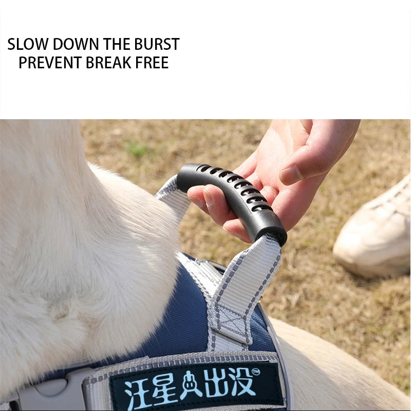 Sac9896bcfee440ae83c4f8b616cb6dc1o