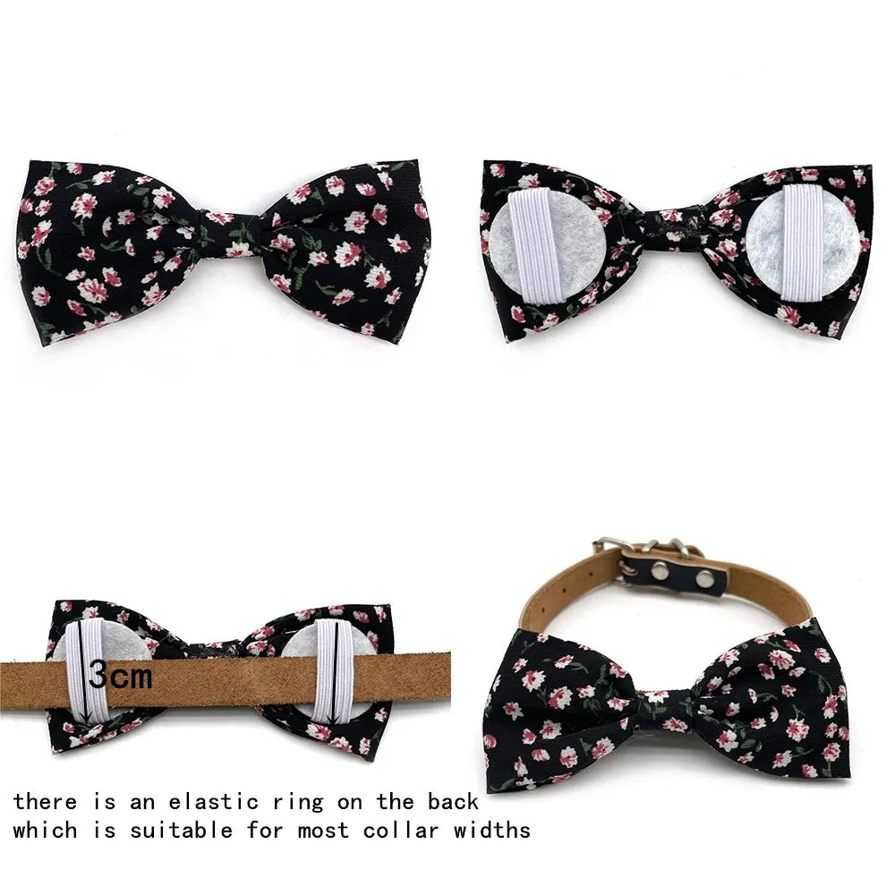 Sc3be5cb8f960475599f8f5ef52e68c6cW