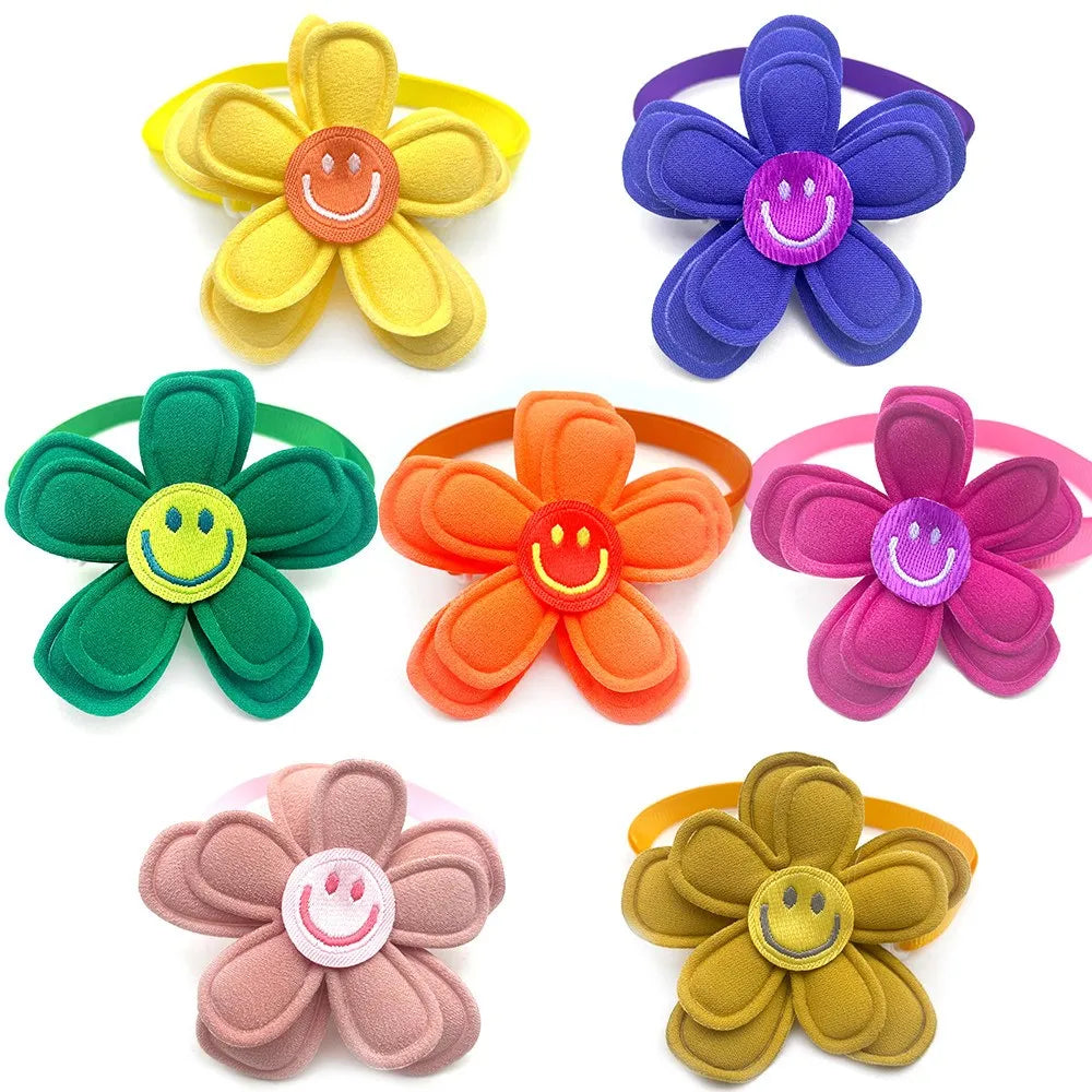 Scc16e1151f744ad583d3ce2c900c98bbT