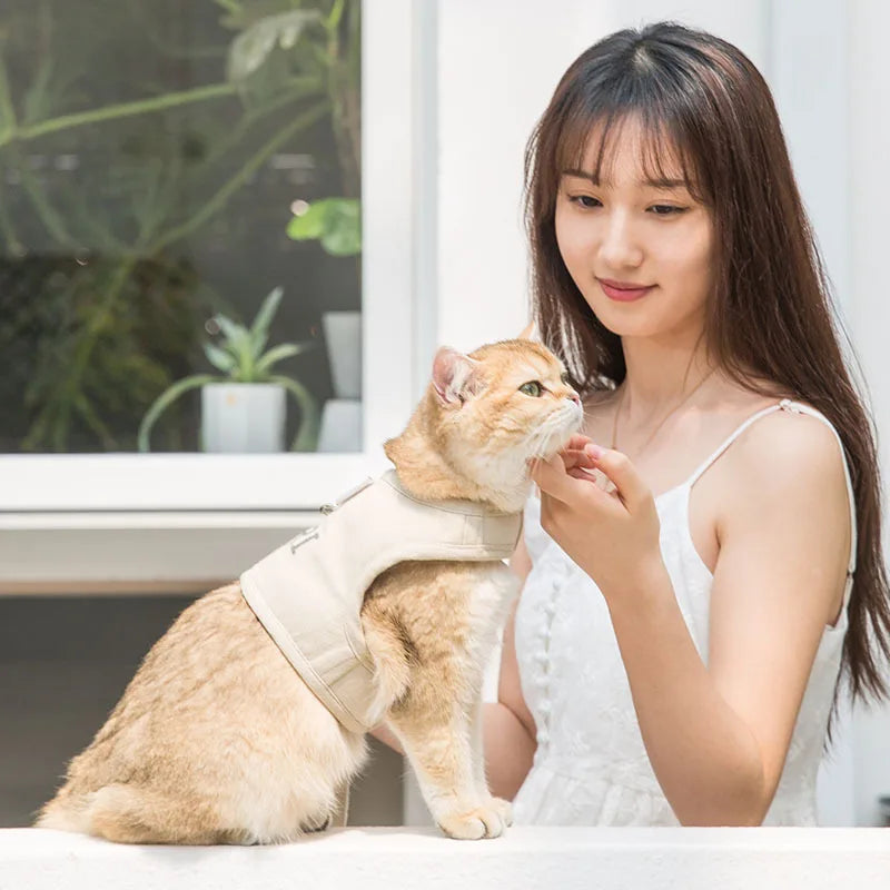 Sd461149c84e84a088ab73c120ce5d056K