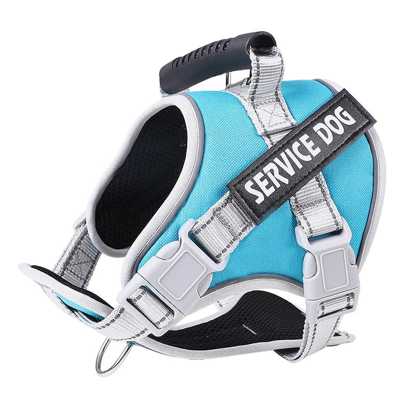 Se31bd29fe2b74bd2bee642bd159529d6P