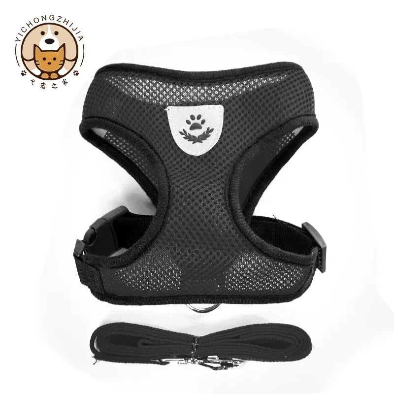 Se351e3fffb6c440e94bbc0bb3c8e355e9