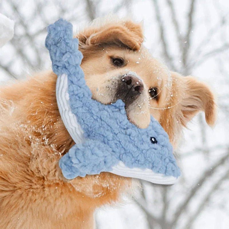 Se5c34c8509974fe99466b3bd1293c30c5