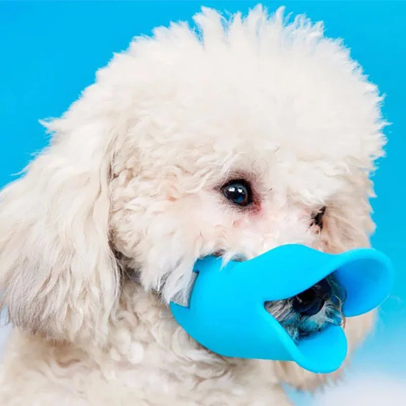 Se9d5be32e19d4adba107feab3098bd9cg