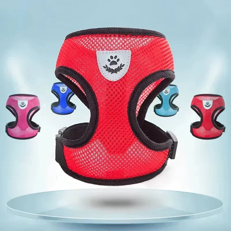 Sfd6e71cc52a4493ab61551c8a66960c3o