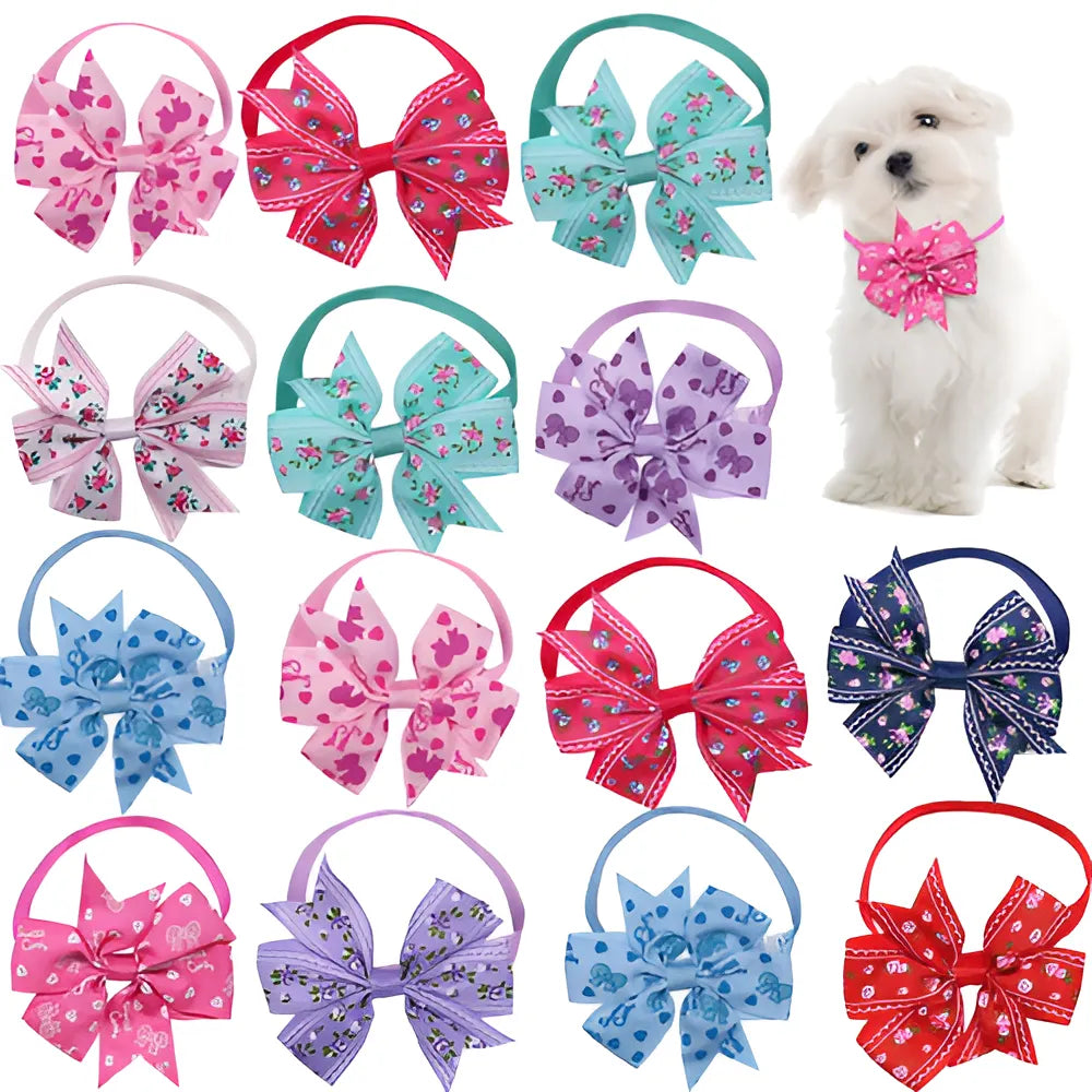 a49e790f-825d-4555-9b1a-8c090d77dadf