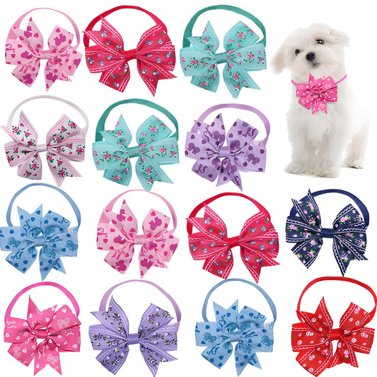 a49e790f-825d-4555-9b1a-8c090d77dadf