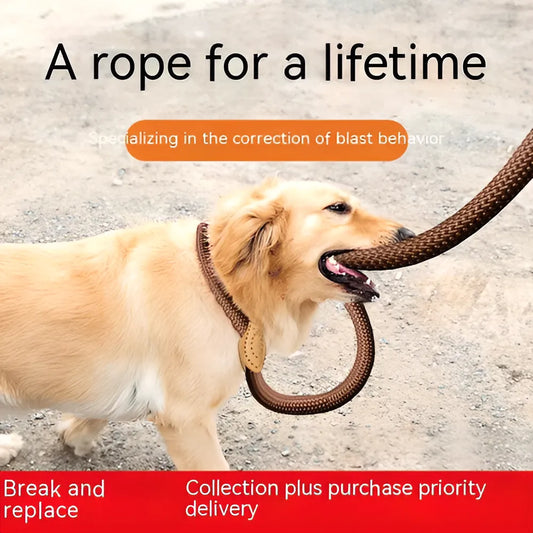 e172e48d-17ee-4151-85d5-fd88718a818e