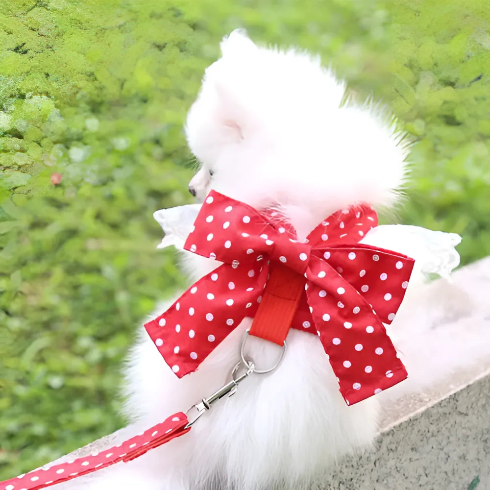 ea891f12-e5e7-4053-bf52-55f06e01d76d